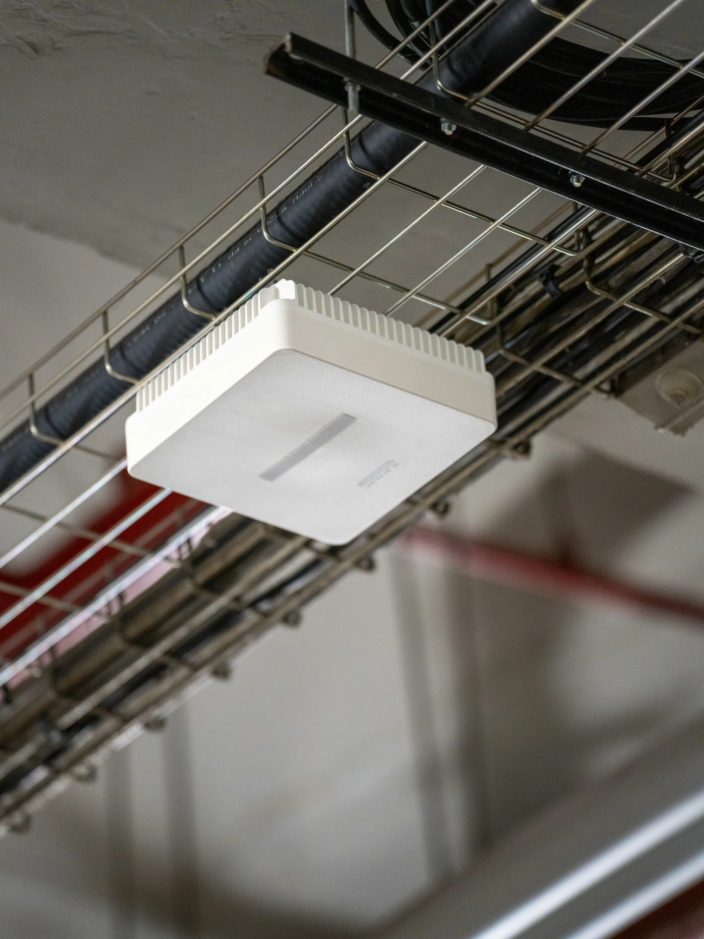 Borne Wi-Fi professionnelle blanche fixée sous un chemin de câbles, au plafond