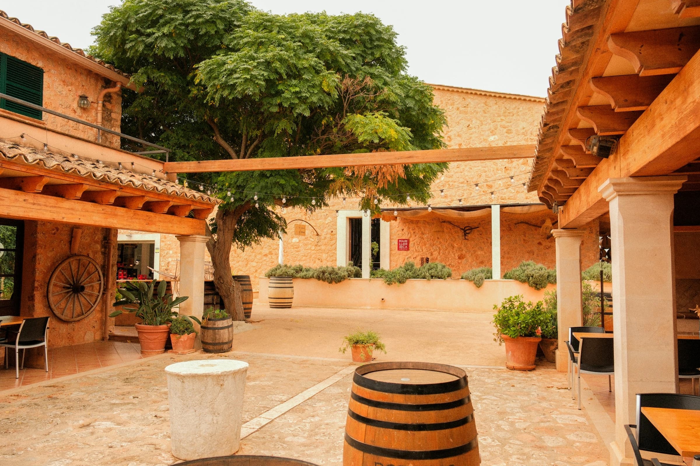 Cour intérieure ensoleillée d'un établissement en pierre, avec un arbre, des tables en terrasse et des guirlandes lumineuses